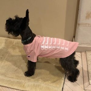champion hoodie for dogs